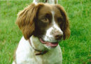 Reference photograph for Polly and Sophie