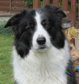 Reference photograph for Ted
