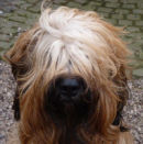Reference photograph for Twix