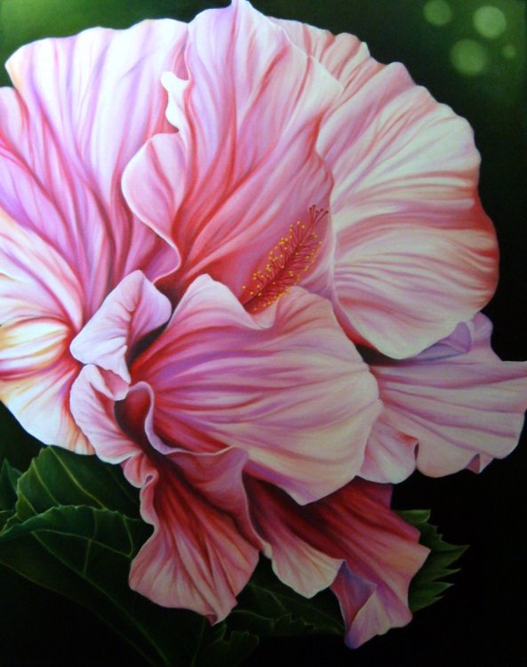 Blissful Hibiscus Original Oil Painting