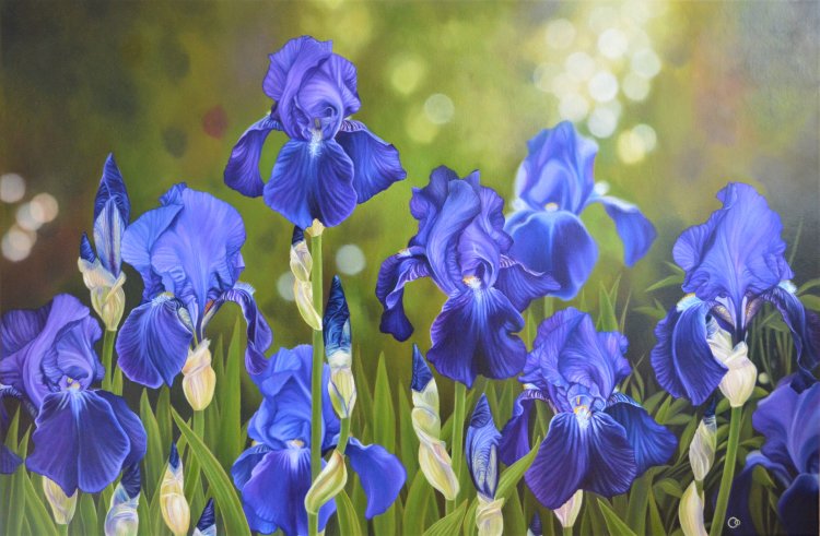 Glorious Spring Irises Oil Painting Flower Painting