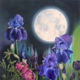 Moonlight Sonata Iris Flower Oil Painting Moon