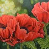 Nostalgia Red Poppies Oil Painting