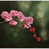 Pink Orchids Oil Painting