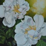 Purity Floral Oil Painting White Roses