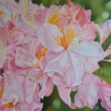 Rhododendrons Floral Oil Paintings Flowers