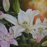 Serenity Oil Painting Pink and White Lilies