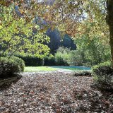 Autumn leaves on main patio