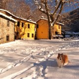 Winter sun reflections