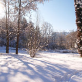 Thick snow in the garden