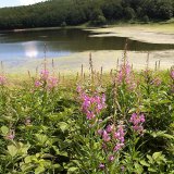 High mountain lake at end of summer: Lago Baccio