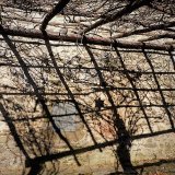 Pergola grid