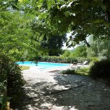 Pool view from the shade of the old plane tree