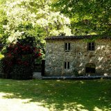 West cottage with roses in bloom