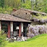 The wisteria patio