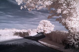 A quiet country road