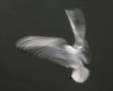 The camera sees what the eye does not.