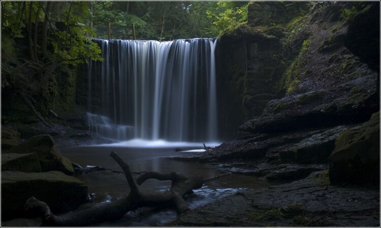 Big wood weir - Bill Buck