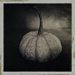 "Waiting For Halloween"