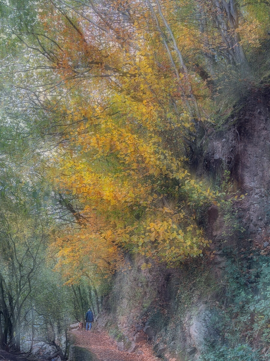 10 Path to Watersmeet Pat Norris (League 5 DPI)