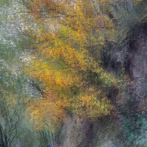 10 Path to Watersmeet Pat Norris (League 5 DPI)