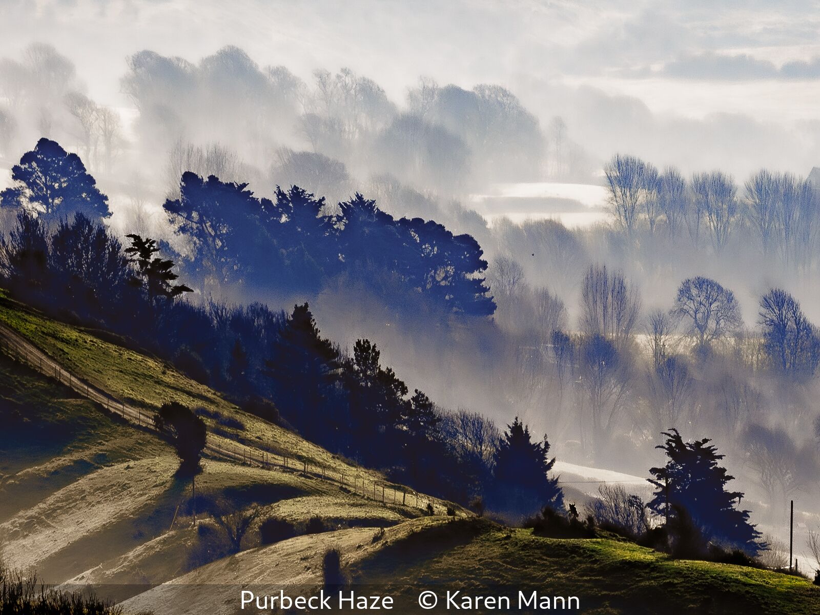 10 Purbeck Haze Karen Mann (Lg.1 PDI)