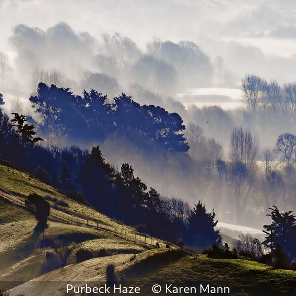 10 Purbeck Haze Karen Mann (Lg.1 PDI)