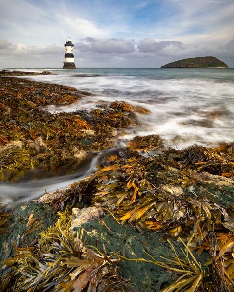2. Penmon Point Nigel Gidney