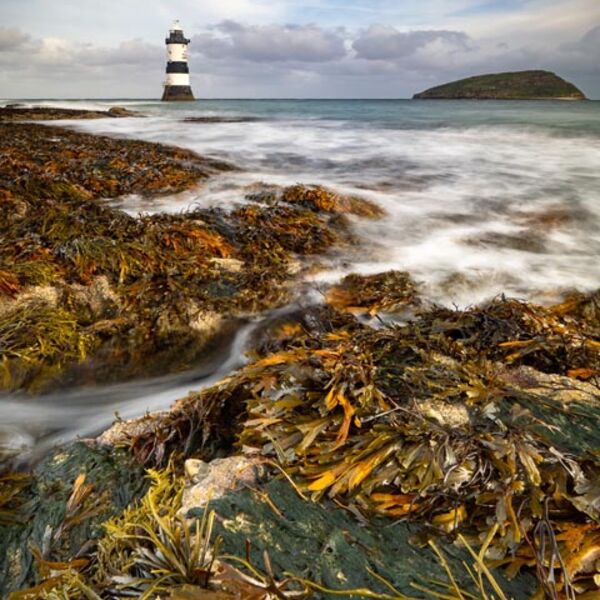 2. Penmon Point Nigel Gidney