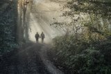 A Winter Stroll by Alan Bevis