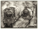 Awaiting Duties - Alan Bevis