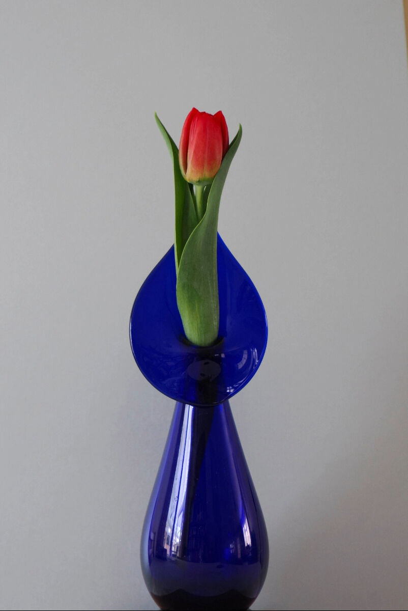 Blue vase with tulip