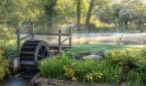 Early Morning by the Lake - Alan Bevis