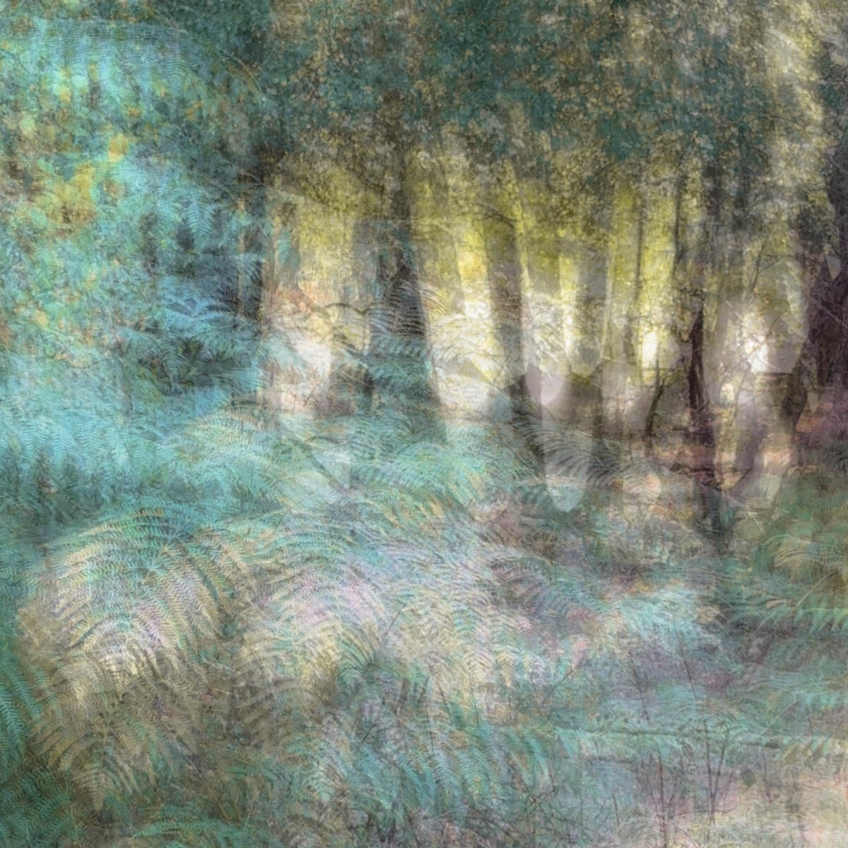 Ferns Turning