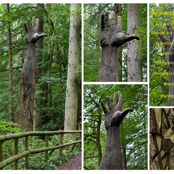 Giant hand of Vyrnwy