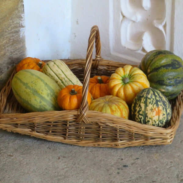 Harvest Festival Offering