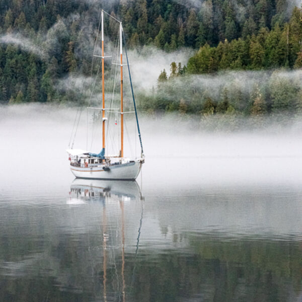Misty Anchorage Graham Tarrant