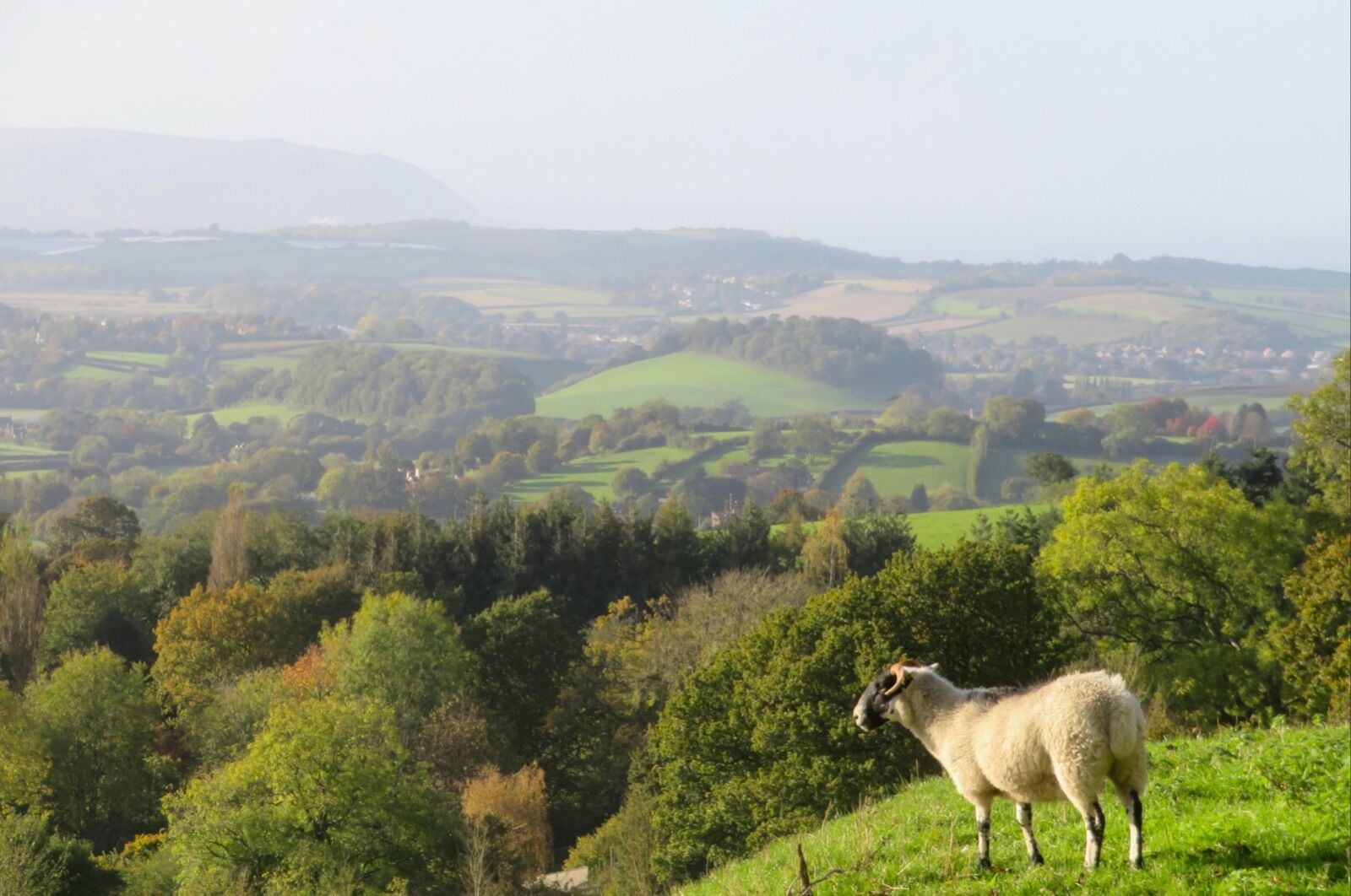 Misty View Towards Minehead