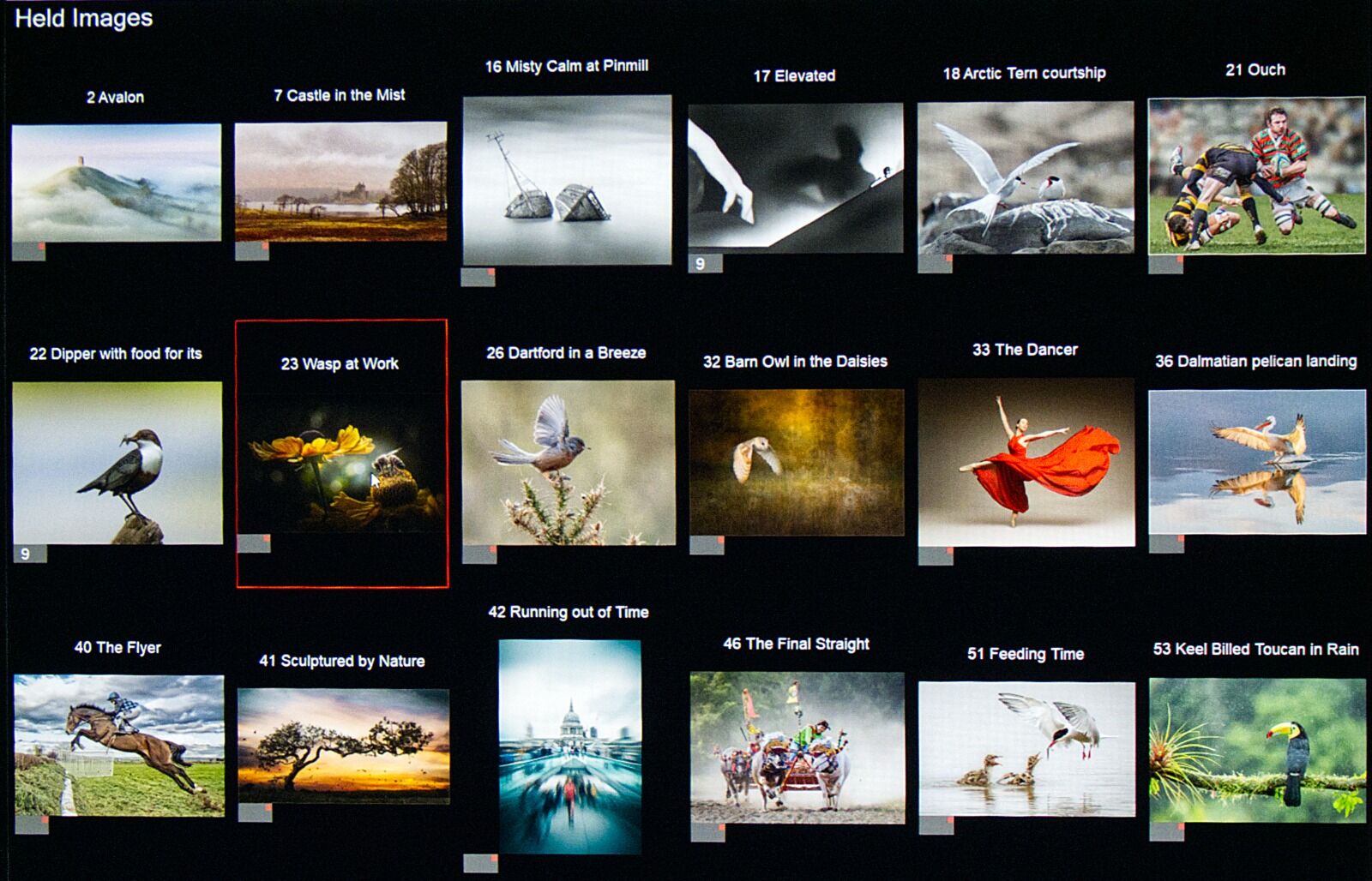 Wessex Battle 2025 Held images