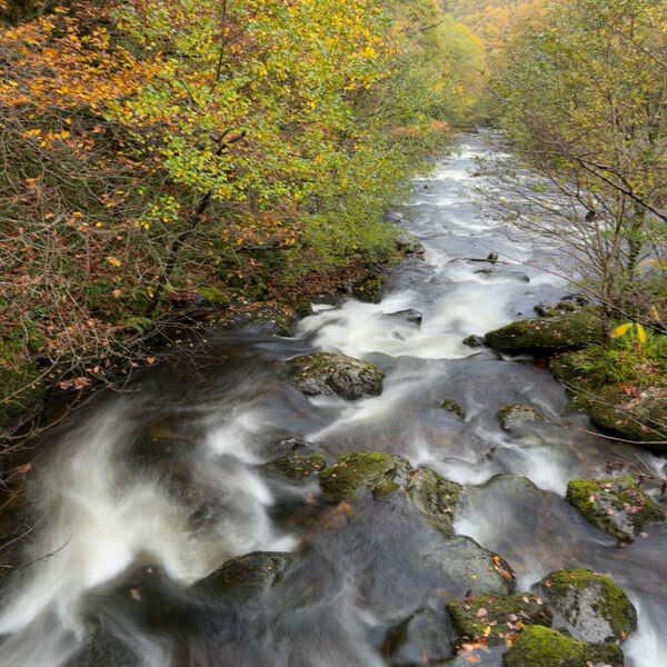 River Lyn 1
