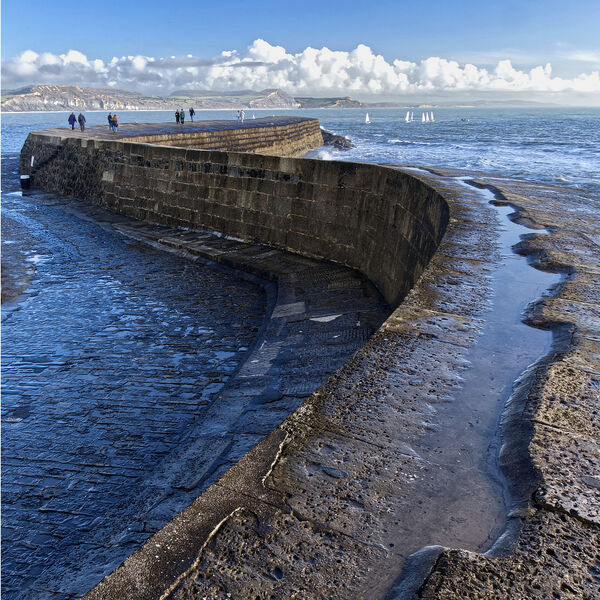2nd PDI  - The Winding Cobb- Rob Ellett