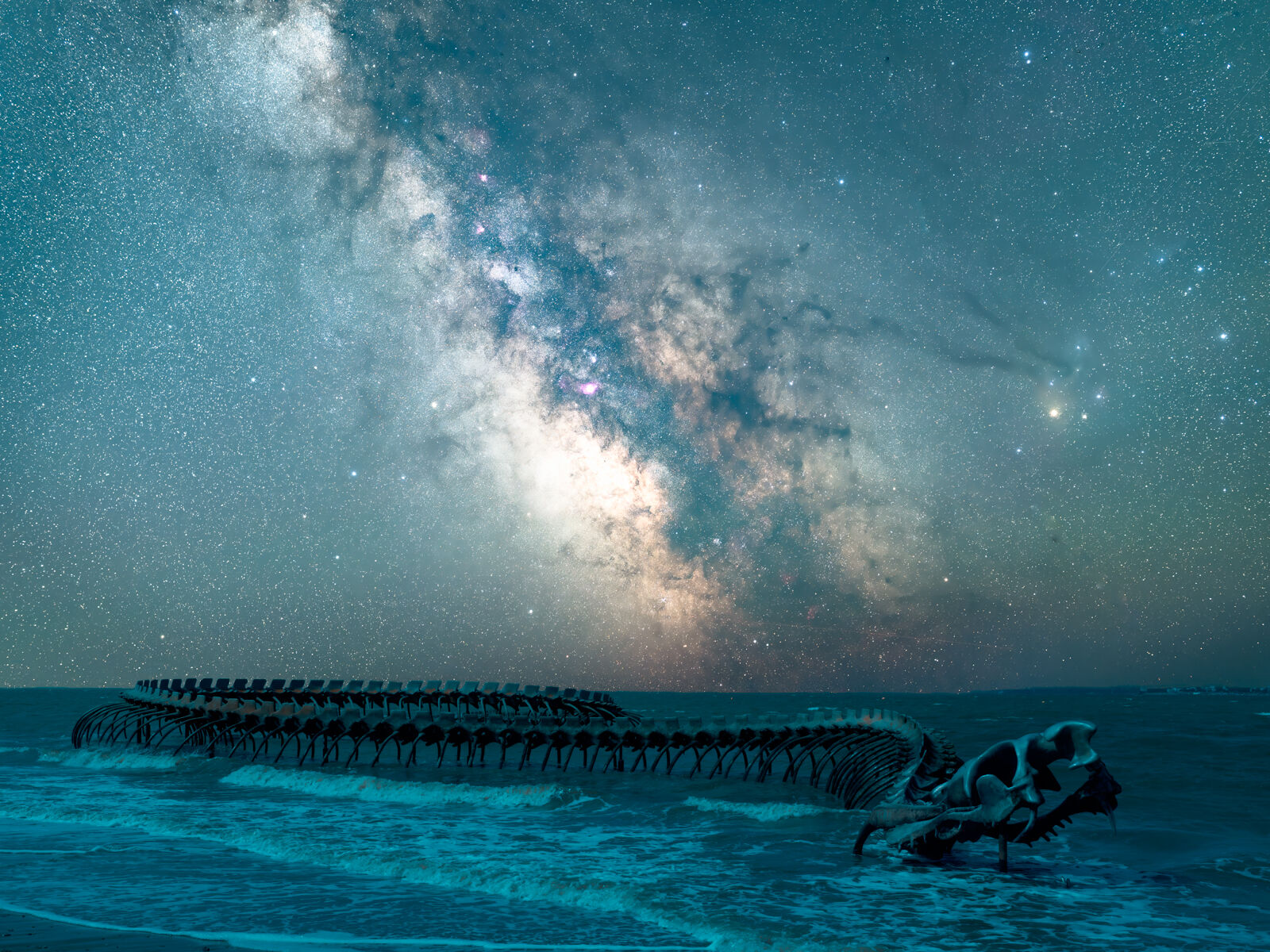 Serpent of the Ocean under the Brittany NIght Sky