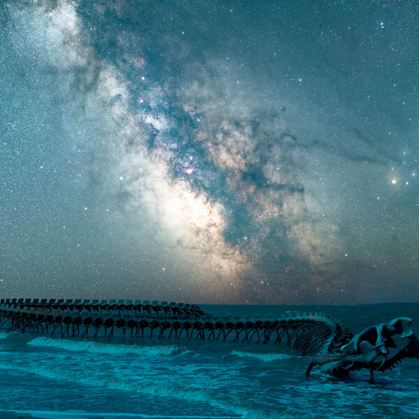 Serpent of the Ocean under the Brittany NIght Sky