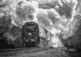 Steam Power - Alan Bevis