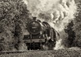 Storming up the Gradient by Alan Bevis
