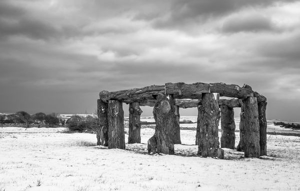The Purbeck Woodhenge