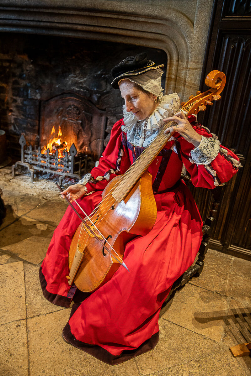 Tudor Musician