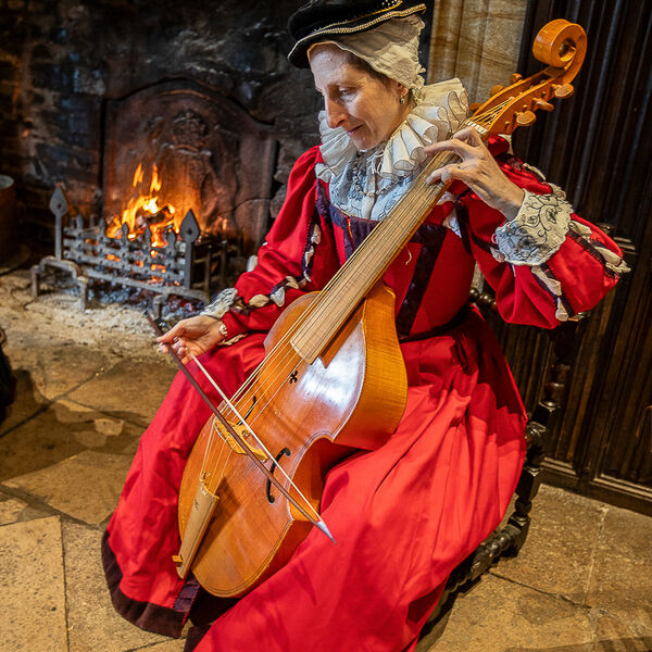 Tudor Musician