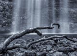Waterlogged by Alan Bevis