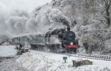 Winter on the Railway - Alan Bevis
